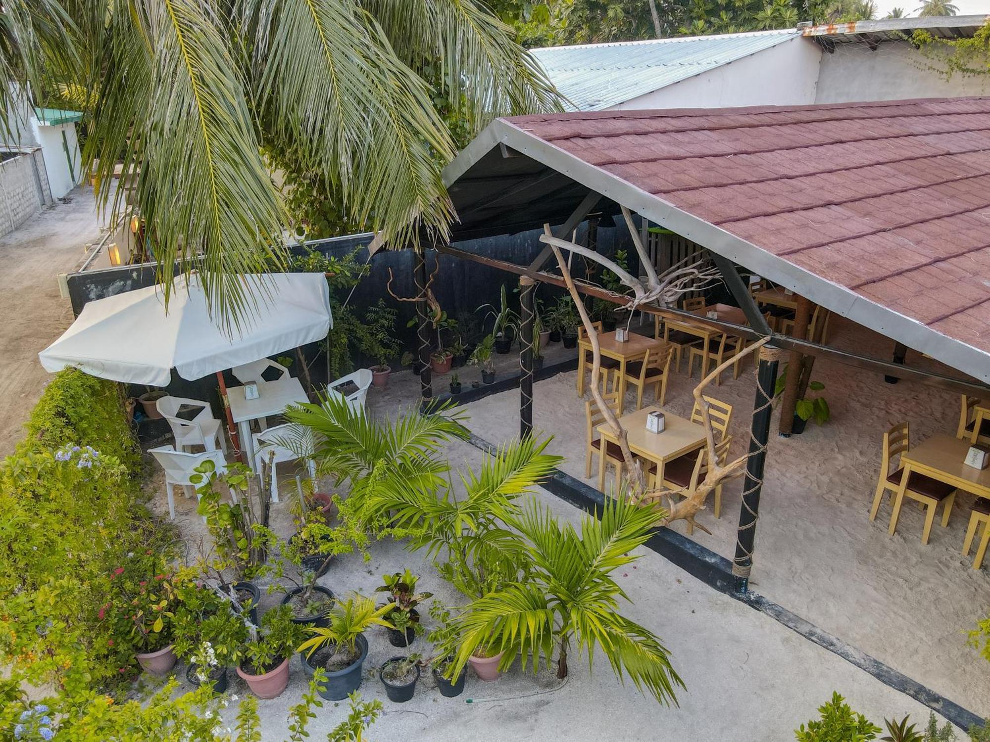 Turtle Maldives - Your Gateway To The Beach & Marine Adventures Await! Omadhoo Esterno foto